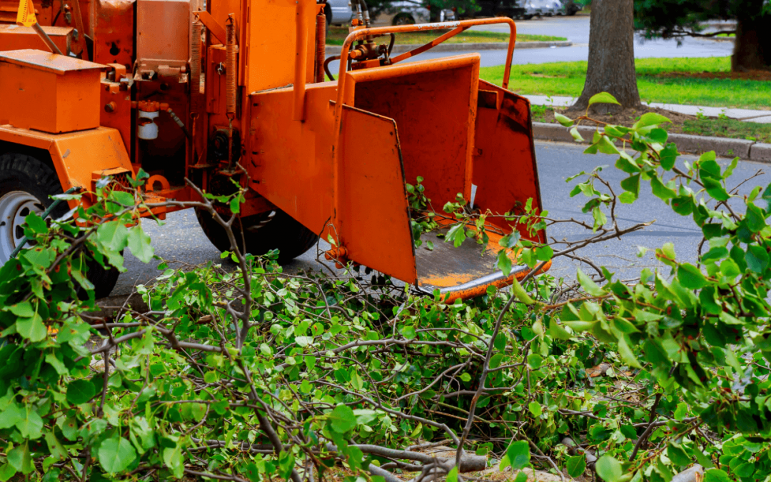 The Tough Job Ahead For Agriculture